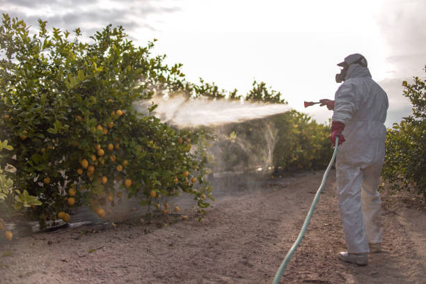 Pest Prevention Services in River Park, FL