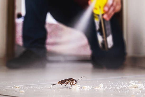 Pest Prevention Services in River Park, FL